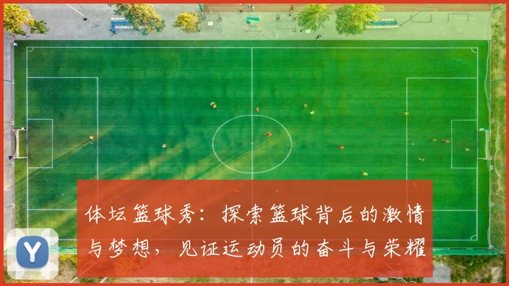 体坛篮球秀：探索篮球背后的激情与梦想，见证运动员的奋斗与荣耀