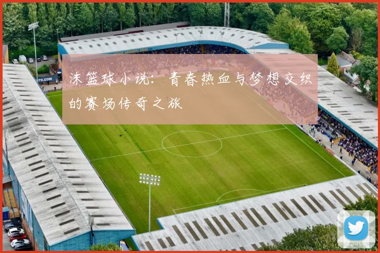 沫篮球小说：青春热血与梦想交织的赛场传奇之旅