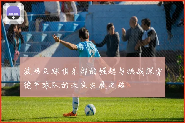 波鸿足球俱乐部的崛起与挑战探索德甲球队的未来发展之路