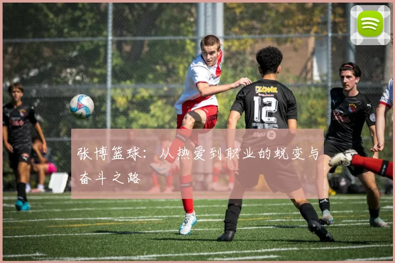 张博篮球：从热爱到职业的蜕变与奋斗之路