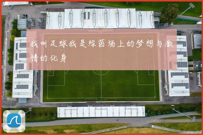 我叫足球我是绿茵场上的梦想与激情的化身