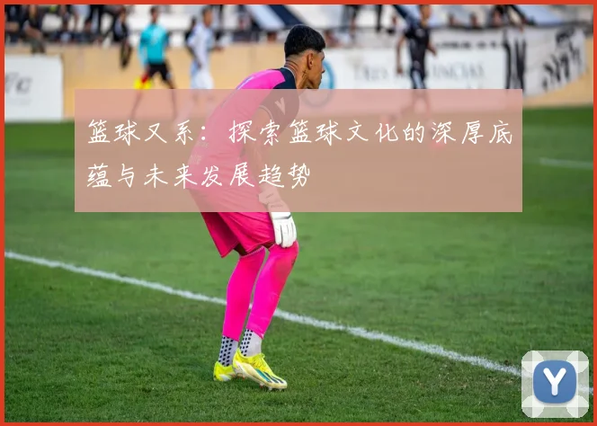 篮球又系：探索篮球文化的深厚底蕴与未来发展趋势