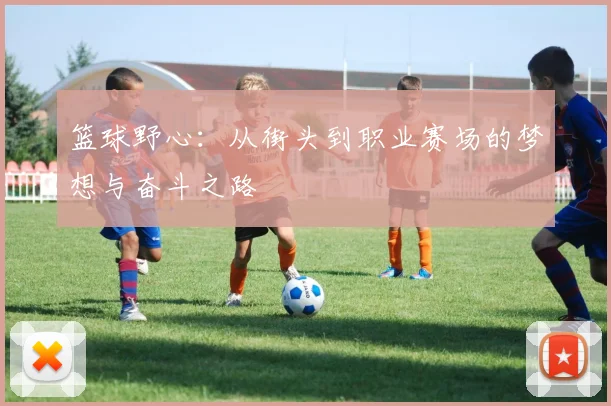 篮球野心：从街头到职业赛场的梦想与奋斗之路